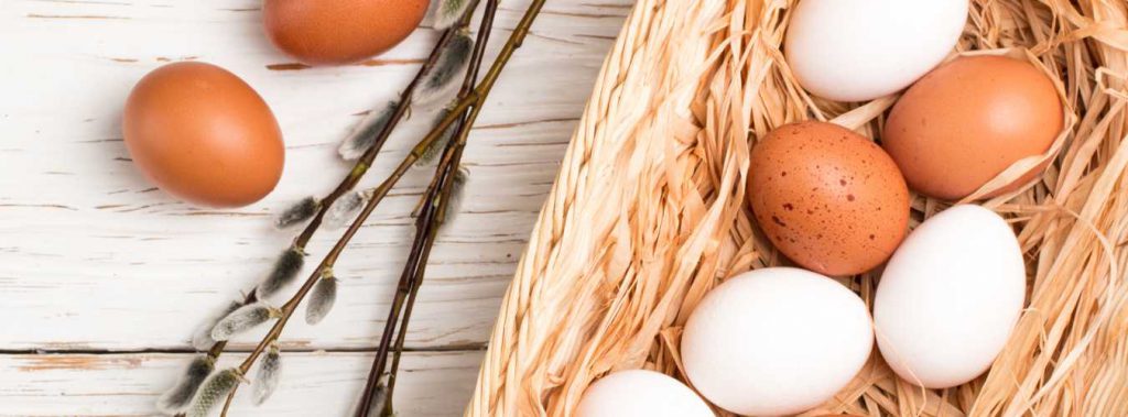 Brown Eggs Vs. White Eggs – What Is The Difference? Brown Eggs Vs. White Eggs - What Is The Difference?